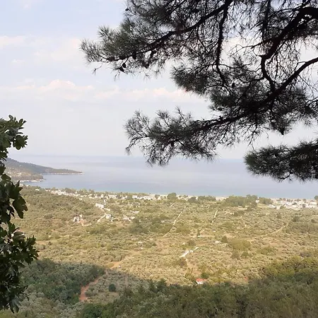 Lejlighedshotel La Vigna By The Sea